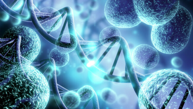 bacterial dna