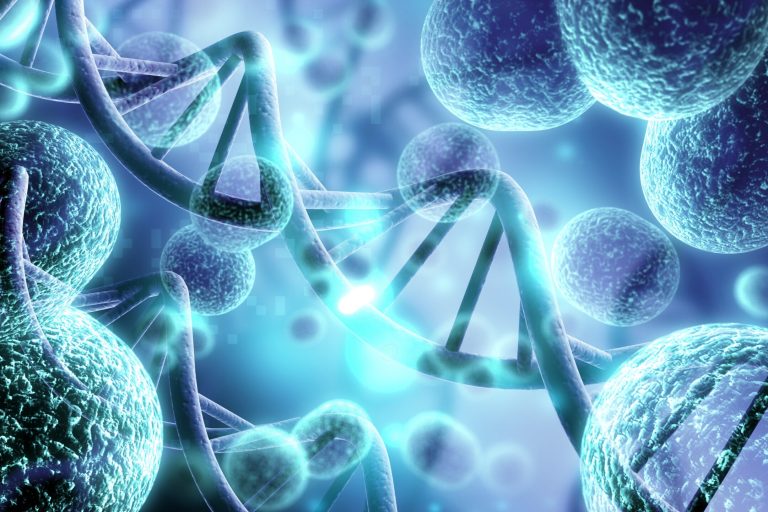 bacterial dna